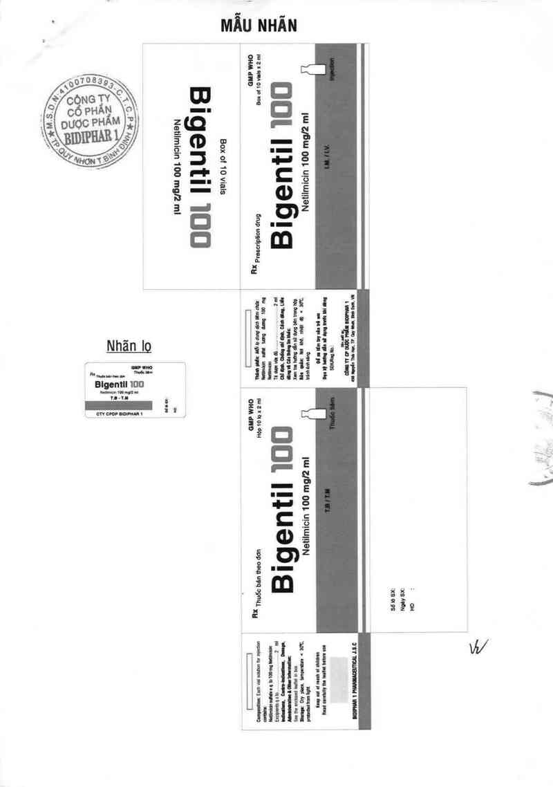 thông tin, cách dùng, giá thuốc Bigentil 100 - ảnh 1
