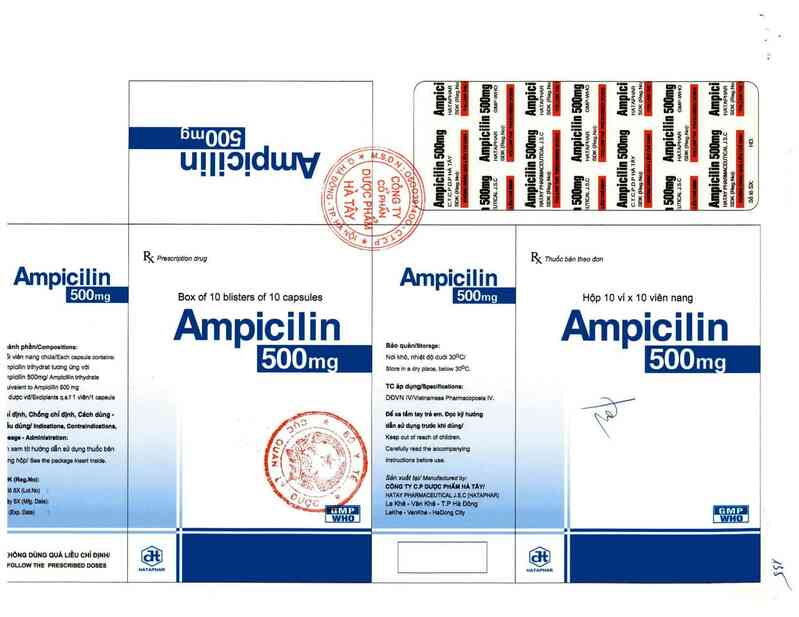 thông tin, cách dùng, giá thuốc Ampicilin 500mg - ảnh 0