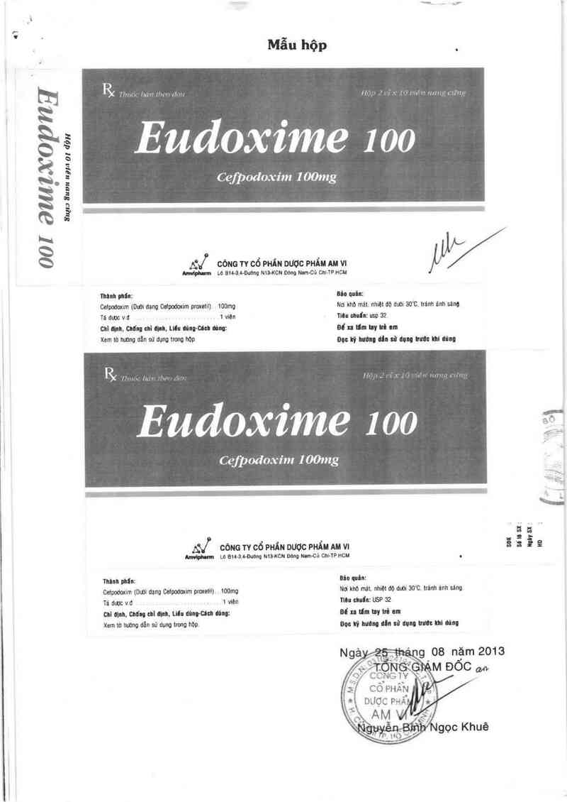 thông tin, cách dùng, giá thuốc Eudoxime 100 - ảnh 1