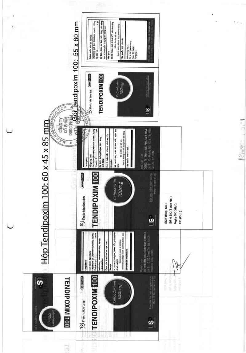 thông tin, cách dùng, giá thuốc Tendipoxim 100 - ảnh 1