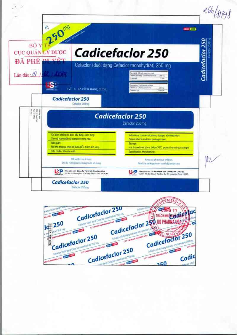 thông tin, cách dùng, giá thuốc Cadicefaclor 250 mg - ảnh 0