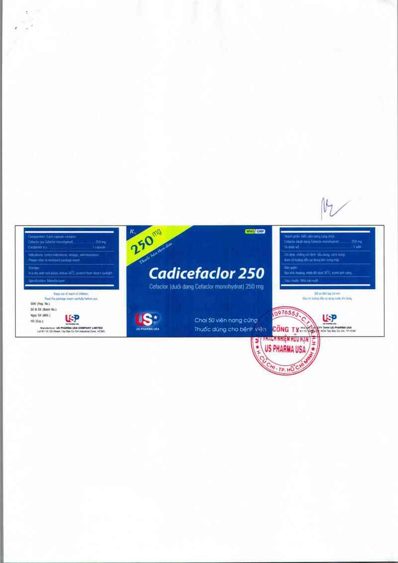 thông tin, cách dùng, giá thuốc Cadicefaclor 250 mg - ảnh 1