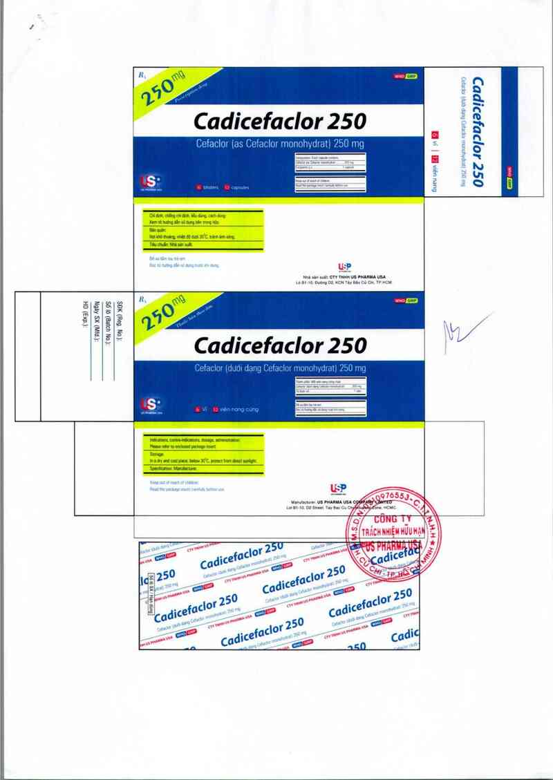 thông tin, cách dùng, giá thuốc Cadicefaclor 250 mg - ảnh 2