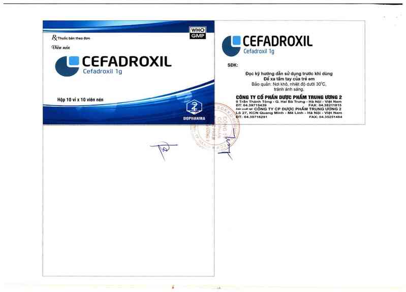 thông tin, cách dùng, giá thuốc Cefadroxil 1g - ảnh 2