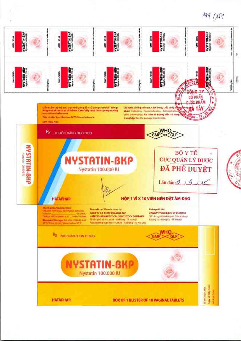 thông tin, cách dùng, giá thuốc Nystatin-BKP - ảnh 0