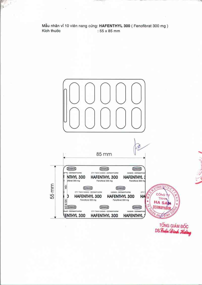 thông tin, cách dùng, giá thuốc Hafenthyl 300 - ảnh 2