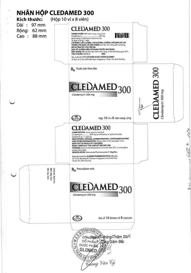 thông tin, cách dùng, giá thuốc Cledamed 300 - ảnh 5