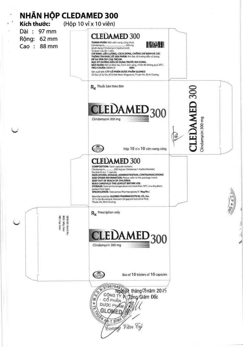 thông tin, cách dùng, giá thuốc Cledamed 300 - ảnh 6