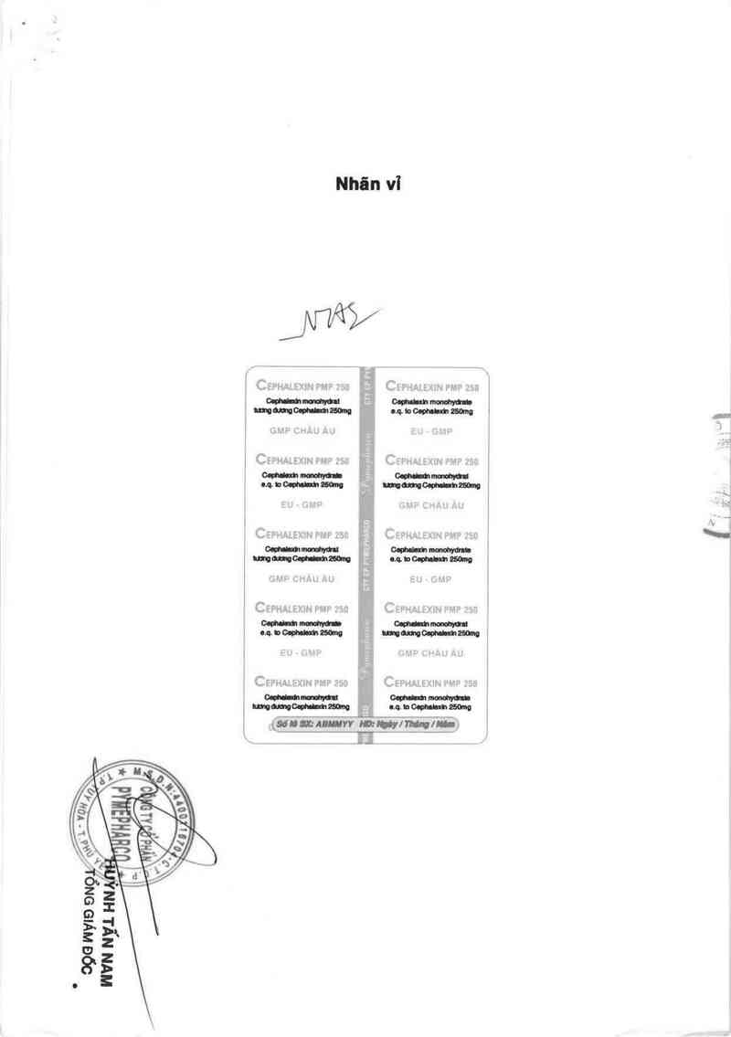 thông tin, cách dùng, giá thuốc Cephalexin PMP 250 - ảnh 1