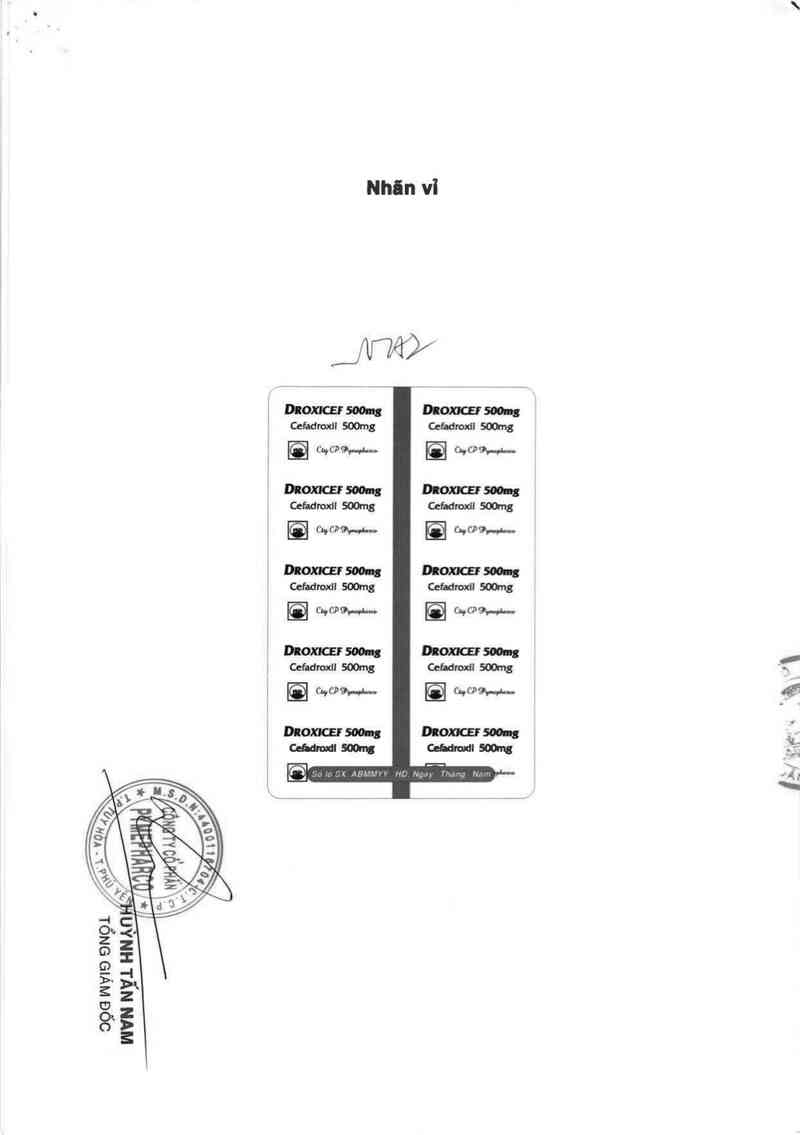 thông tin, cách dùng, giá thuốc Droxicef 500mg - ảnh 1