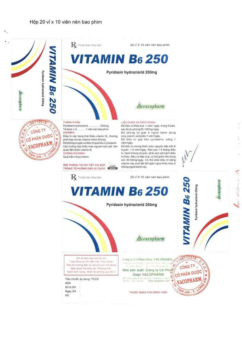 thông tin, cách dùng, giá thuốc Vitamin B6 250 - ảnh 1