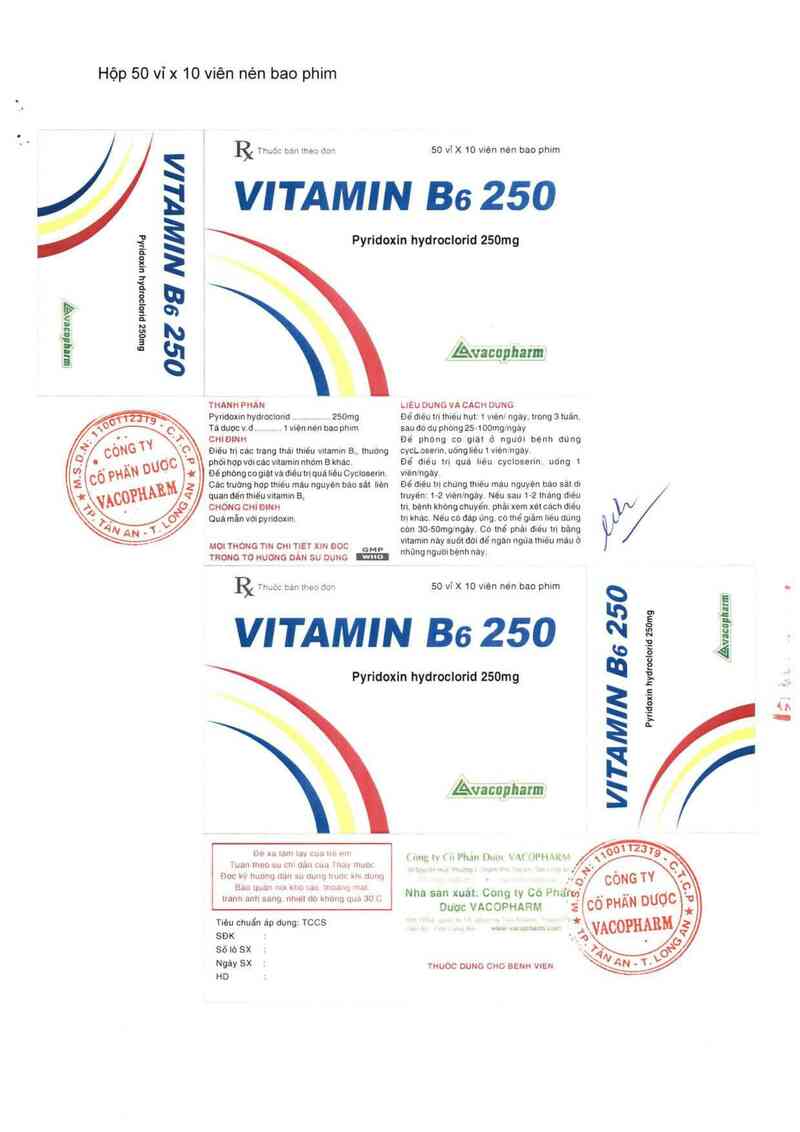 thông tin, cách dùng, giá thuốc Vitamin B6 250 - ảnh 2