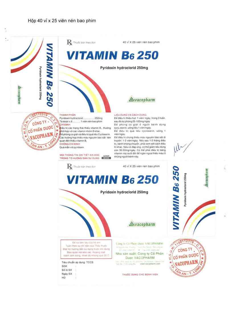 thông tin, cách dùng, giá thuốc Vitamin B6 250 - ảnh 7