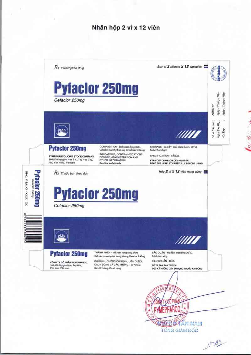 thông tin, cách dùng, giá thuốc Pyfaclor 250mg - ảnh 1