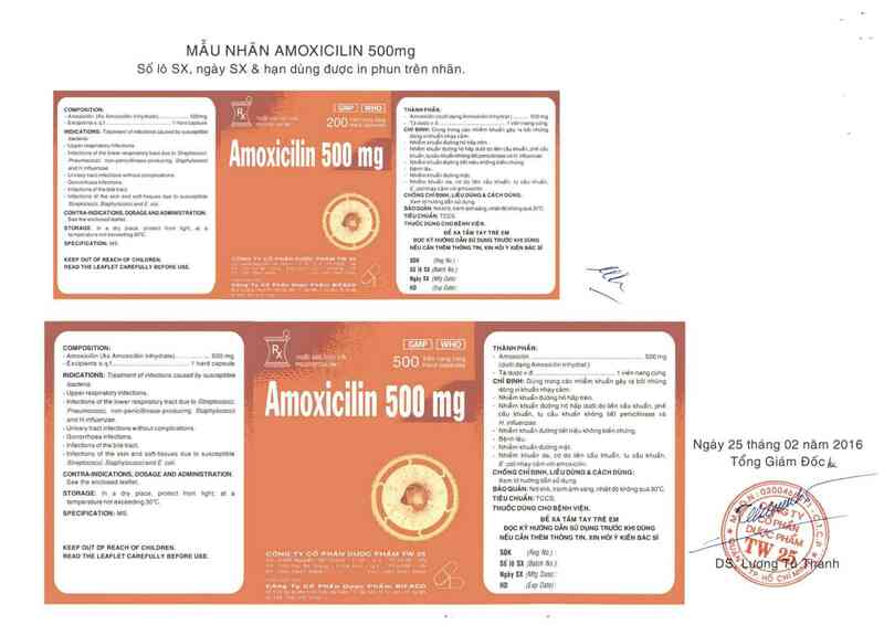 thông tin, cách dùng, giá thuốc Amoxicilin 500 mg - ảnh 2