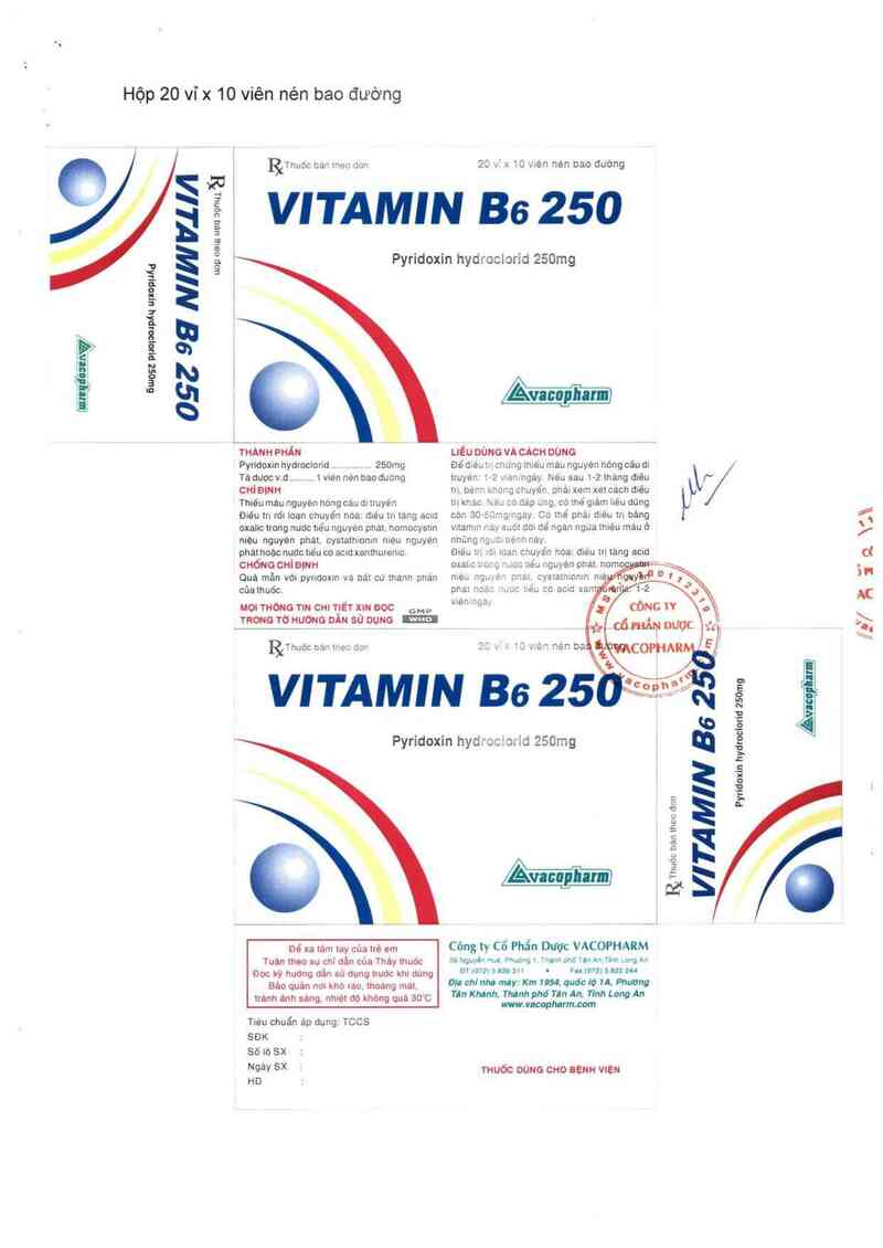 thông tin, cách dùng, giá thuốc Vitamin B6 250 - ảnh 1