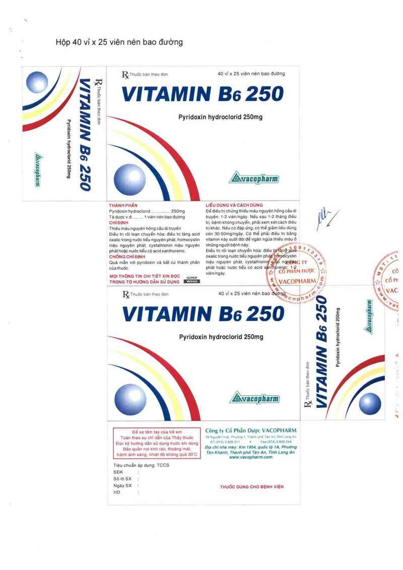 thông tin, cách dùng, giá thuốc Vitamin B6 250 - ảnh 7