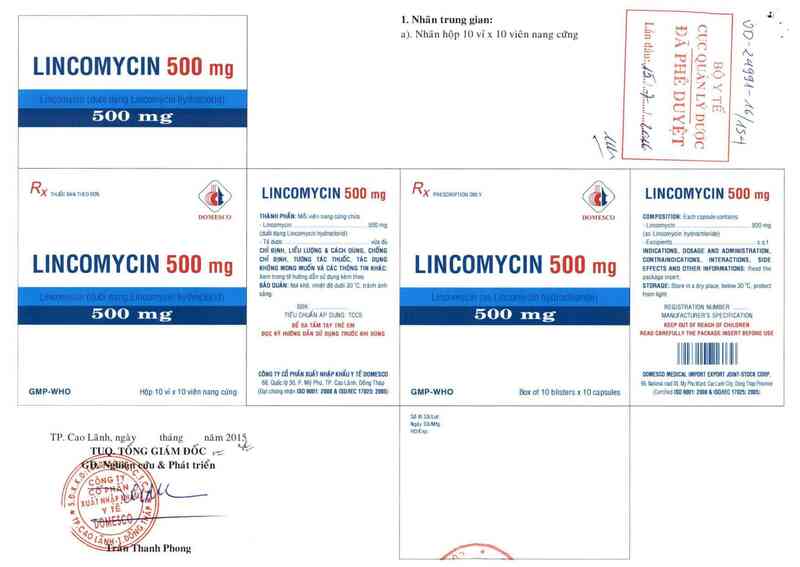 thông tin, cách dùng, giá thuốc Lincomycin 500mg - ảnh 0