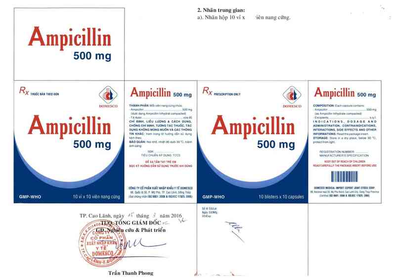 thông tin, cách dùng, giá thuốc Ampicillin 500 mg - ảnh 1