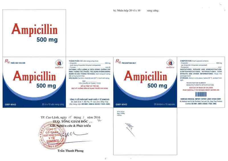 thông tin, cách dùng, giá thuốc Ampicillin 500 mg - ảnh 2