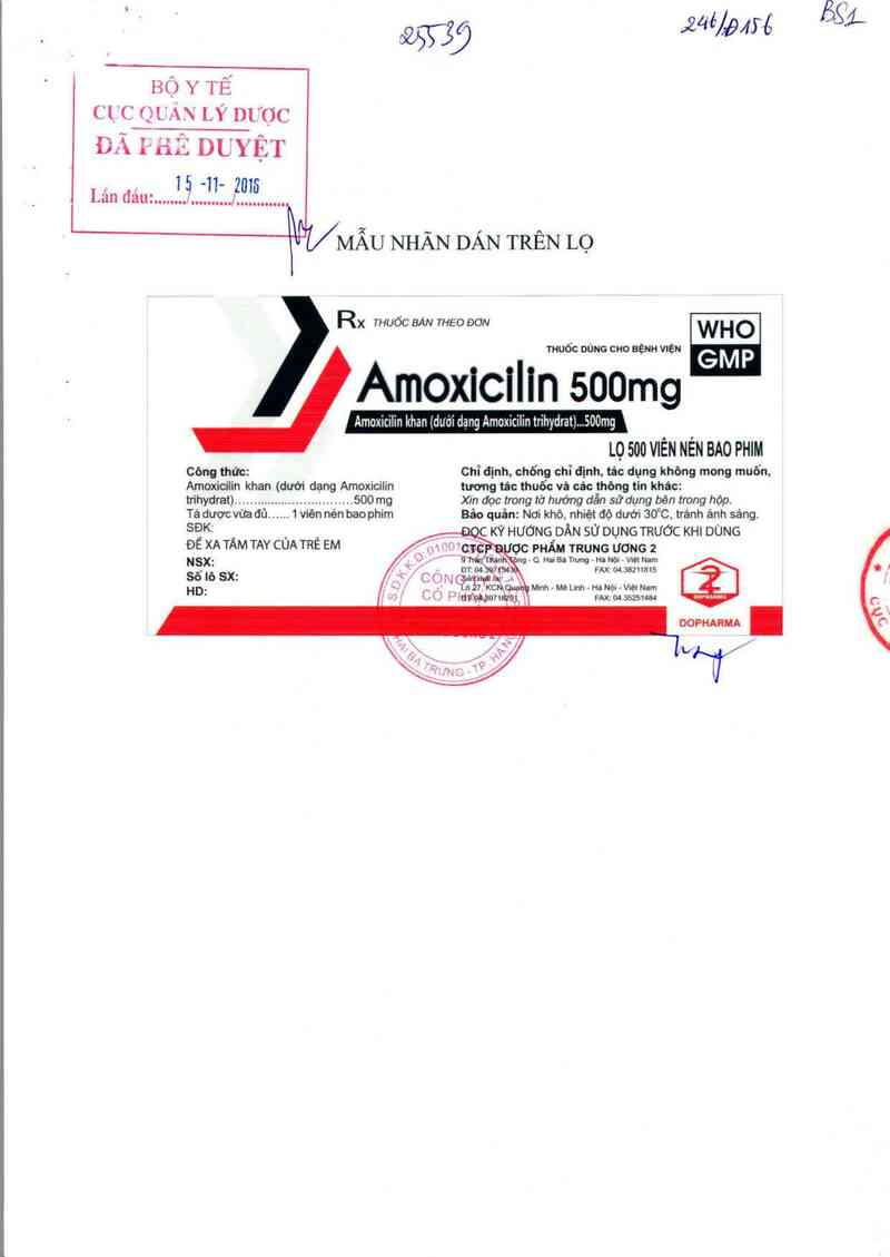 thông tin, cách dùng, giá thuốc Amoxicilin 500 mg - ảnh 0