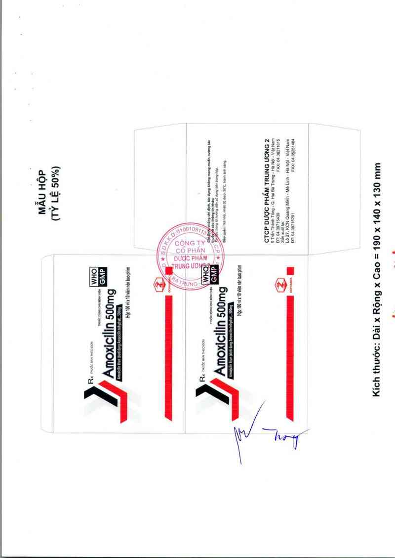 thông tin, cách dùng, giá thuốc Amoxicilin 500 mg - ảnh 2