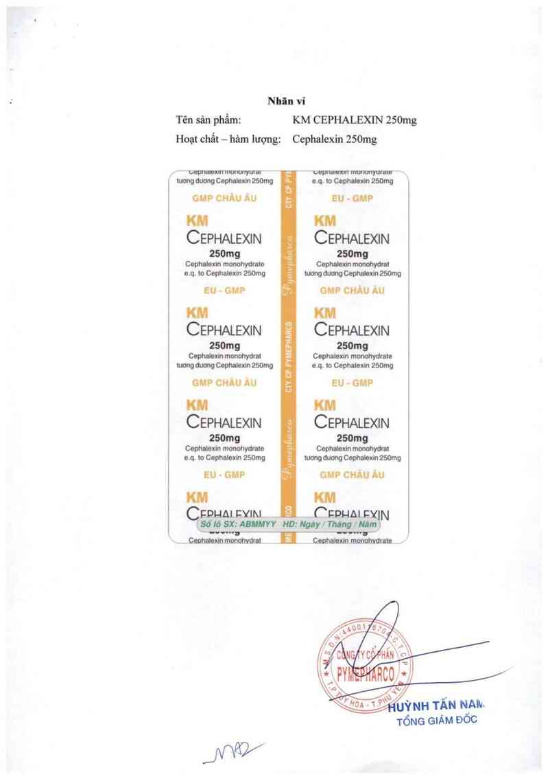 thông tin, cách dùng, giá thuốc KM Cephalexin 250mg - ảnh 1