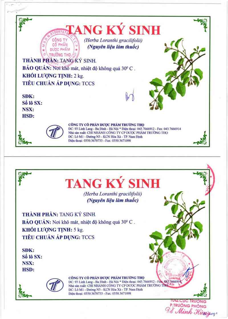 thông tin, cách dùng, giá thuốc Tang ký sinh - ảnh 2