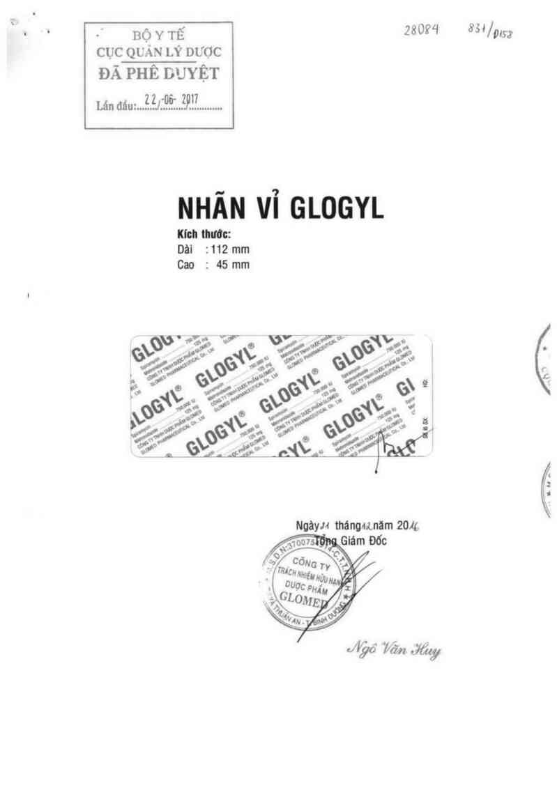 thông tin, cách dùng, giá thuốc Glogyl - ảnh 0