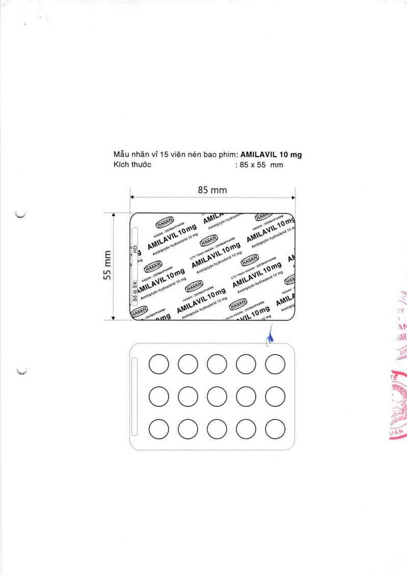 thông tin, cách dùng, giá thuốc Amilavil 10 mg - ảnh 2