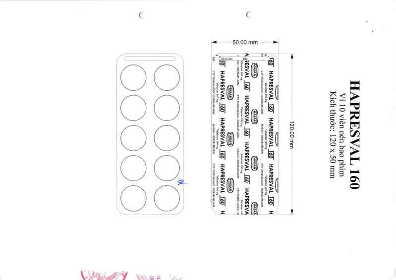thông tin, cách dùng, giá thuốc Hapresval 160 - ảnh 3
