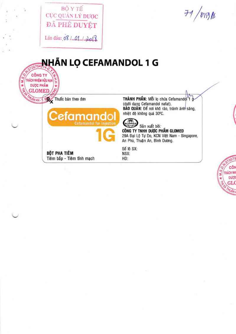 thông tin, cách dùng, giá thuốc Cefamandol 1G - ảnh 0