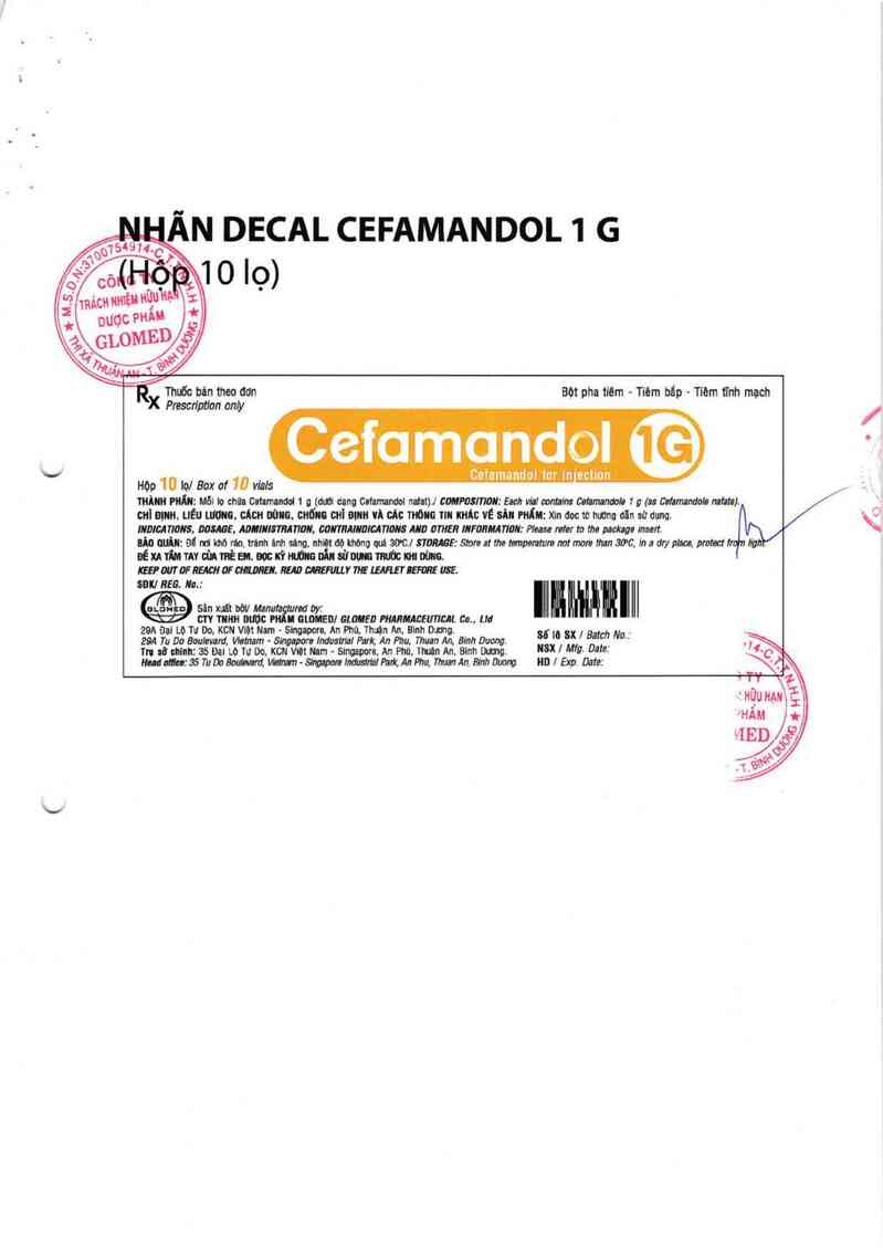 thông tin, cách dùng, giá thuốc Cefamandol 1G - ảnh 1