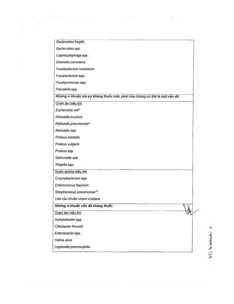 thông tin, cách dùng, giá thuốc Augmentin 500mg/62.5mg - ảnh 13