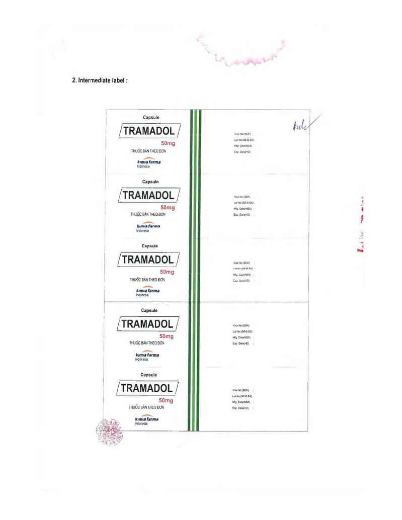 thông tin, cách dùng, giá thuốc Tramadol Capsule - ảnh 1