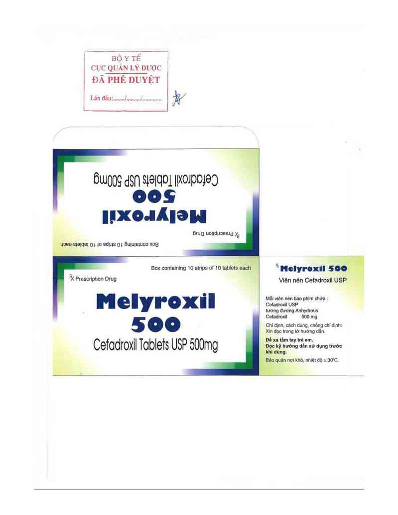 thông tin, cách dùng, giá thuốc Melyroxil 500 - ảnh 0