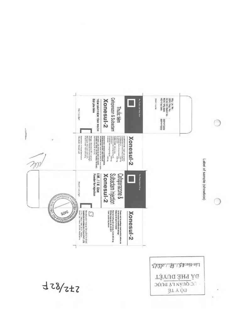 thông tin, cách dùng, giá thuốc Xonesul-2 - ảnh 0