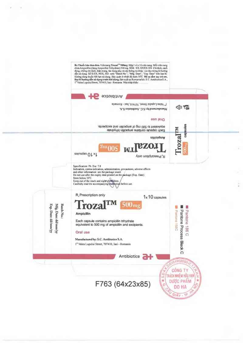 thông tin, cách dùng, giá thuốc Trozal 500mg - ảnh 1