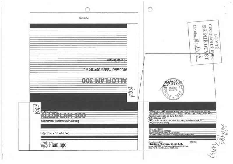 thông tin, cách dùng, giá thuốc Alloflam 300 - ảnh 0