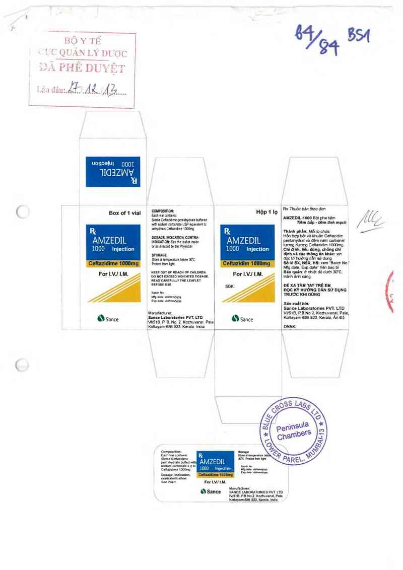thông tin, cách dùng, giá thuốc Amzedil-1000 - ảnh 0