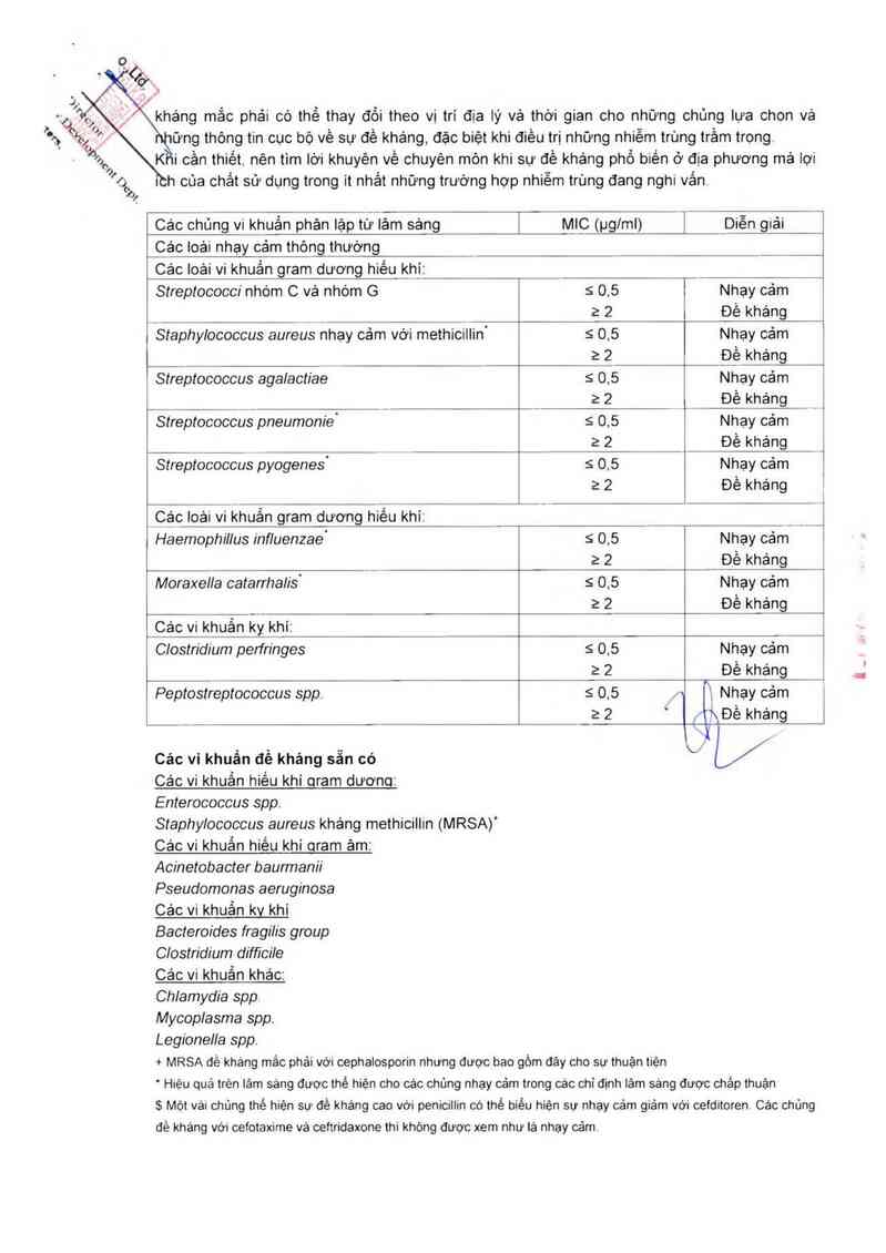 thông tin, cách dùng, giá thuốc Meiact 200mg - ảnh 3