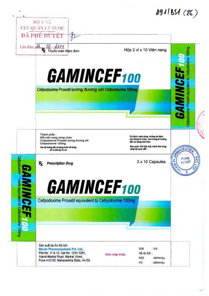 thông tin, cách dùng, giá thuốc Gamincef 100 - ảnh 0