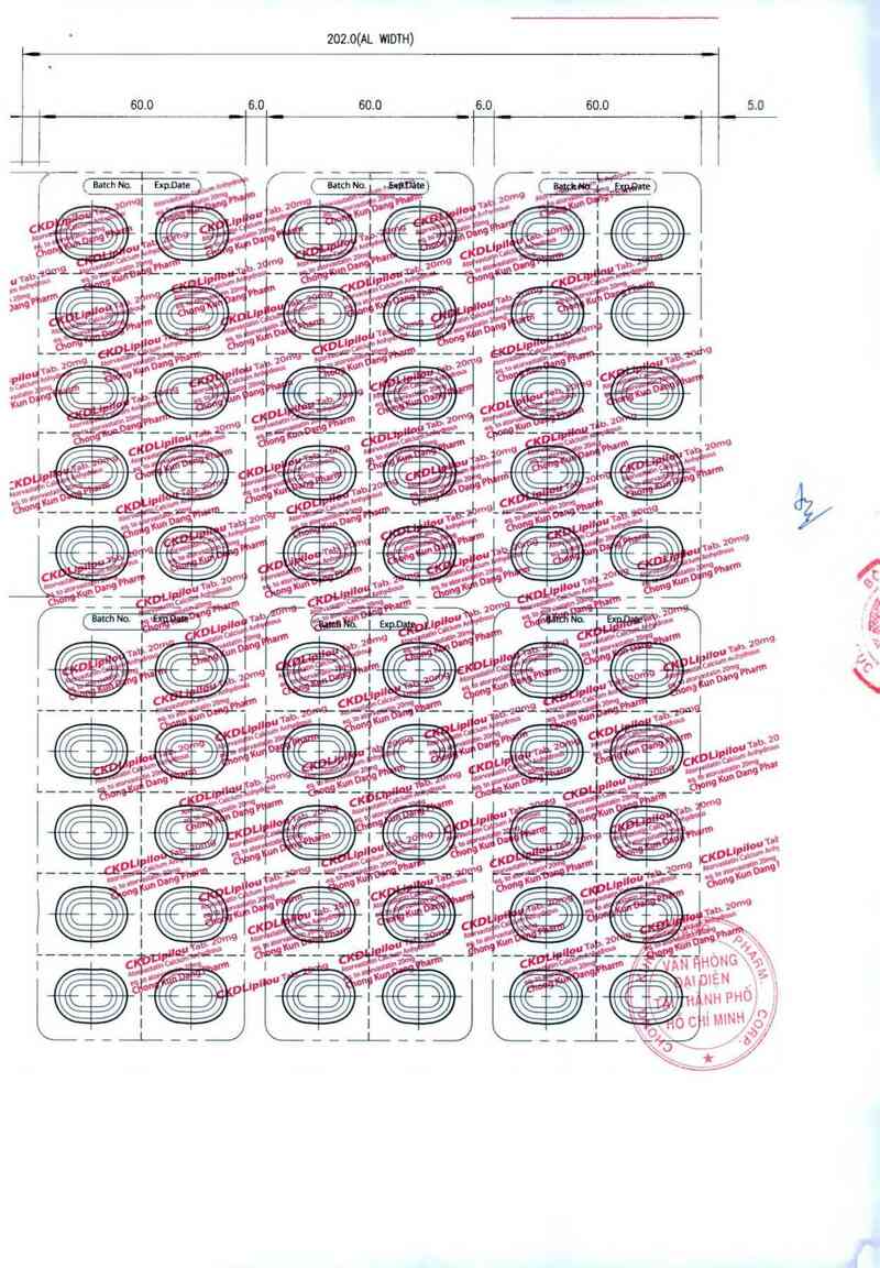 thông tin, cách dùng, giá thuốc CKDLipilou tab. 20mg - ảnh 1