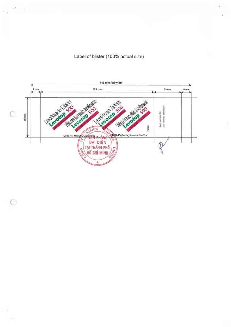 thông tin, cách dùng, giá thuốc Levotop 500 - ảnh 4