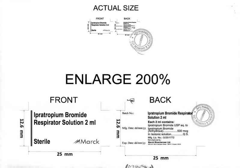 thông tin, cách dùng, giá thuốc Ipratropium Bromide - ảnh 2