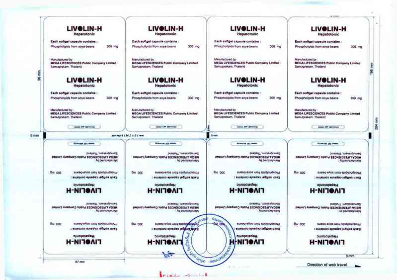 thông tin, cách dùng, giá thuốc Livolin-H - ảnh 2