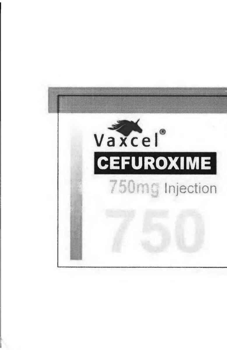 thông tin, cách dùng, giá thuốc Vaxcel Cefuroxime -750 mg Injection - ảnh 2