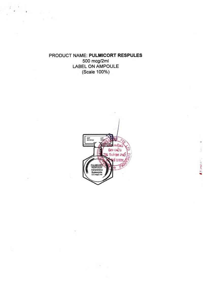 thông tin, cách dùng, giá thuốc Pulmicort Respules - ảnh 1