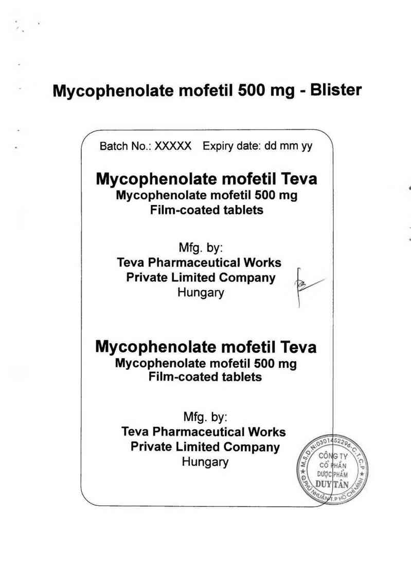 thông tin, cách dùng, giá thuốc Mycophenolate mofetil Teva - ảnh 1