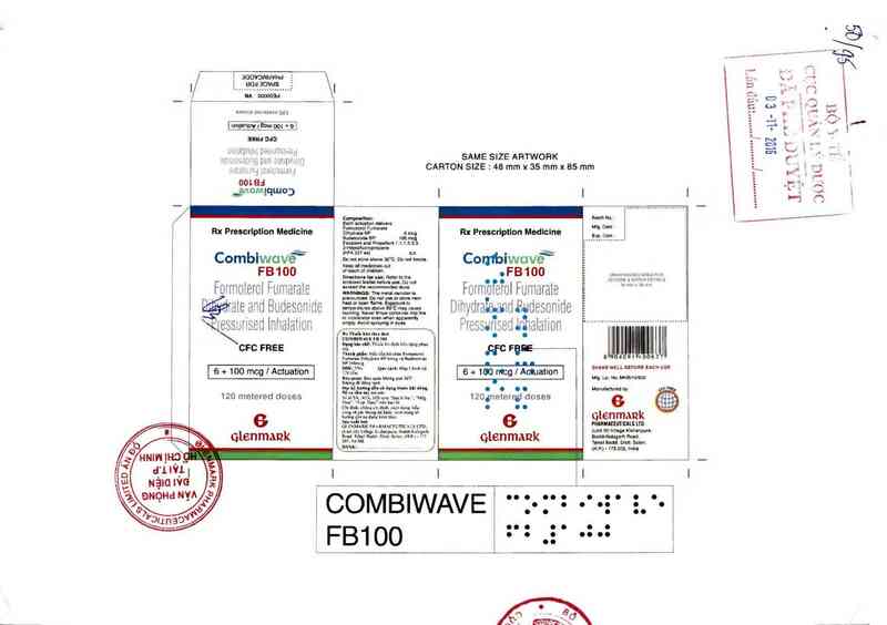 thông tin, cách dùng, giá thuốc Combiwave FB 100 - ảnh 0